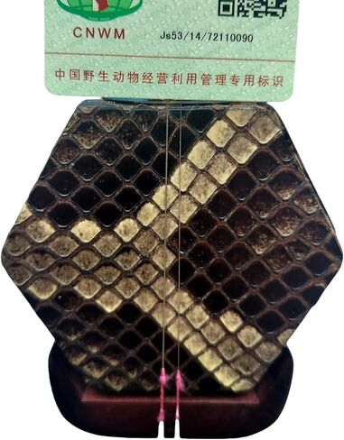 كمان الكمان الصيني ErHU-2 مصنوع يدويًا للعازفين المتقدمين مصنوع من خشب الصندل الأحمر ذو الأوراق الصغيرة، مع ملحقات Erhu المتضمنة in Kuwait