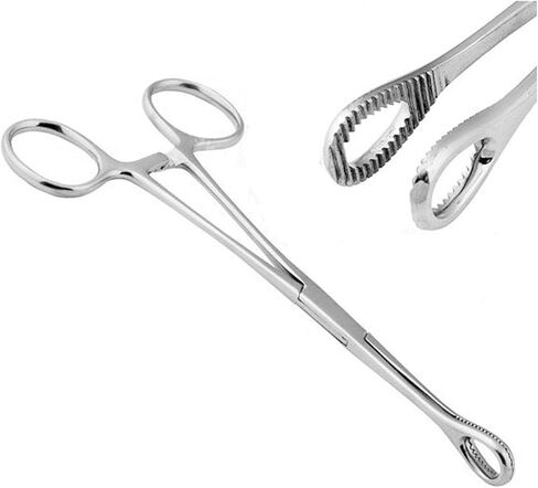 Body Piercing Forceps Sponge CLAMP 6" Stainless Steel by G.S Online Store in Saudi Arabia