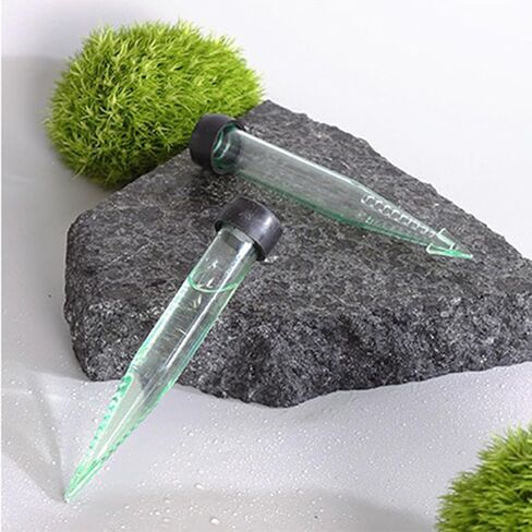 Maxmoral 25 قطعة خرطوم زهور بلاستيكي شائك مقاس 4 × 0.7 بوصة مع غطاء سيليكون لوازم الزهور ترتيبات الزهور والعناصر الزخرفية in Kuwait