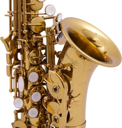 ساكسفون سوبرانو كلاسيكي منحني من BetterSax - تصميم احترافي - طلاء الكونياك الداكن، نقش يدوي، سوبرانو سهل اللعب للمبتدئين والمحترفين - يتضمن قطعة فم بلمسة نهائية يدوية، وحقيبة ومجموعة ملحقات كاملة in Kuwait