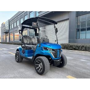 GO UP 2seats Golf cart Sightseeing and Leisure Vehicle in Saudi Arabia