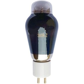 فراغ أنبوب 300B-Z 300BZ HiFi الصوت أنبوب ترقية 300B 300B-98 WE300B E300B مُضخّم صوت عدة لتقوم بها بنفسك (4 قطعة رباعية متطابقة) in Kuwait