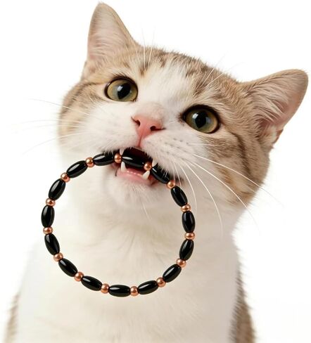 خلخال علاج مغناطيسي نحاسي للنساء والرجال، خلخال نحاسي مغناطيسي، هدية عيد الفصح للحبيب، أفضل الأصدقاء، رئيس، Pulsera De Cobre Para Mujer للآباء 2 حزمة in Kuwait