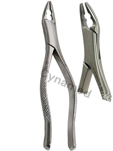 New German Stainless Dental Tooth Extracting Forceps NO 150AS with Serrated Jaws in Kuwait