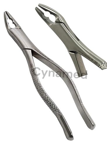 New German Stainless Dental Tooth Extracting Forceps NO 150AS with Serrated Jaws in Kuwait
