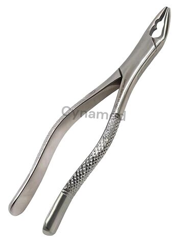 New German Stainless Dental Tooth Extracting Forceps NO 150AS with Serrated Jaws in Kuwait
