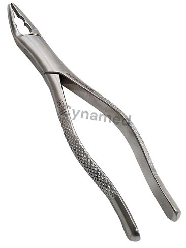 New German Stainless Dental Tooth Extracting Forceps NO 150AS with Serrated Jaws in Kuwait