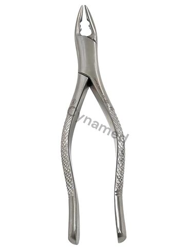 New German Stainless Dental Tooth Extracting Forceps NO 150AS with Serrated Jaws in Kuwait