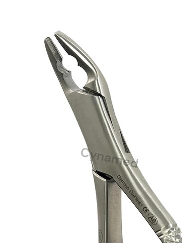New German Stainless Dental Tooth Extracting Forceps NO 150AS with Serrated Jaws in Kuwait