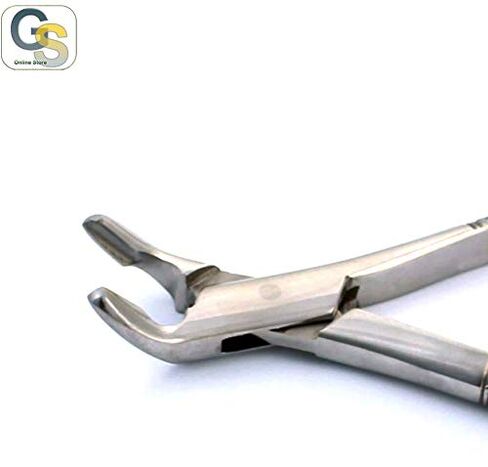 Dental Forceps 151A Lower Anteriors, Parallel Beaks - G.S Online Store in Saudi Arabia