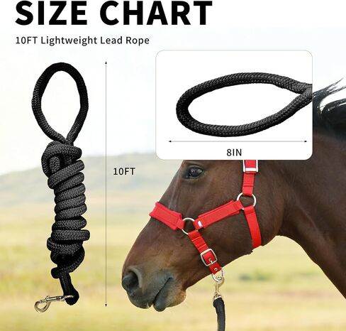 All-Purpose Nylon Horse Lead Rope | Lightweight and Soft Lead Rope | Double Braided |(Black, 10') in Saudi Arabia