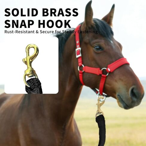 All-Purpose Nylon Horse Lead Rope | Lightweight and Soft Lead Rope | Double Braided |(Black, 10') in Saudi Arabia