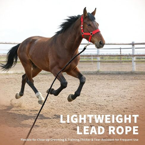 All-Purpose Nylon Horse Lead Rope | Lightweight and Soft Lead Rope | Double Braided |(Black, 10') in Saudi Arabia