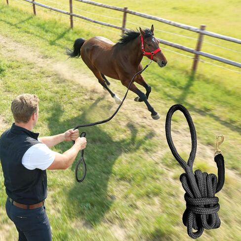 All-Purpose Nylon Horse Lead Rope | Lightweight and Soft Lead Rope | Double Braided |(Black, 10') in Saudi Arabia