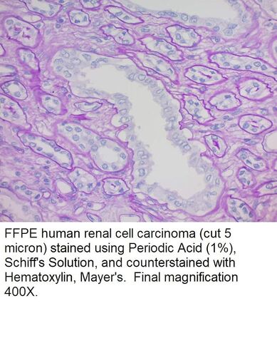 محلول شيف، 1 جالون in Kuwait