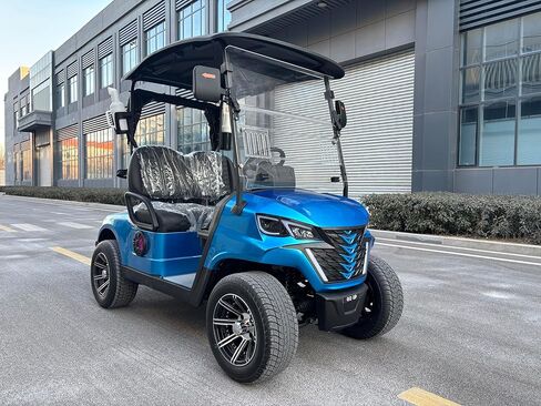GO UP 2seats Golf cart Sightseeing and Leisure Vehicle in Saudi Arabia