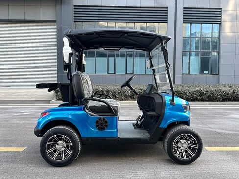 GO UP 2seats Golf cart Sightseeing and Leisure Vehicle in Saudi Arabia