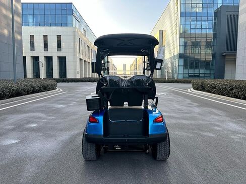 GO UP 2seats Golf cart Sightseeing and Leisure Vehicle in Saudi Arabia