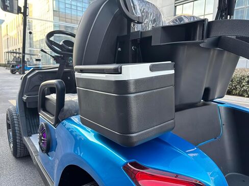 GO UP 2seats Golf cart Sightseeing and Leisure Vehicle in Saudi Arabia