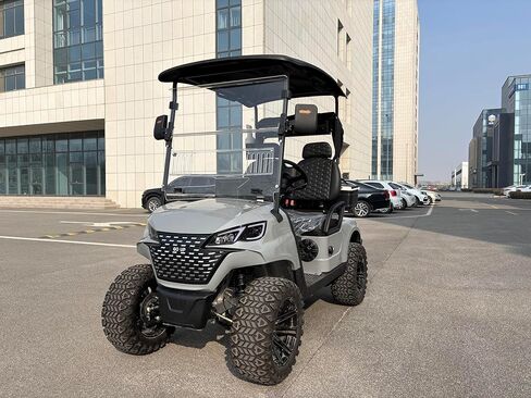 GO UP Electric Golf Cart 2seats in Saudi Arabia