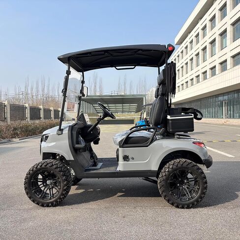 GO UP Electric Golf Cart 2seats in Saudi Arabia