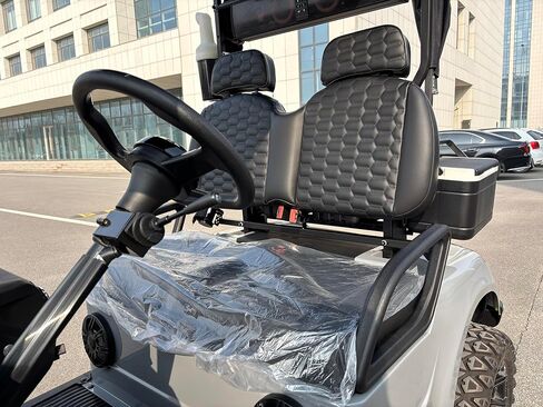 GO UP Electric Golf Cart 2seats in Saudi Arabia