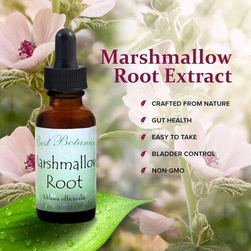 أفضل مستخلص جذر الخطمي النباتي، 1 أونصة. in Kuwait