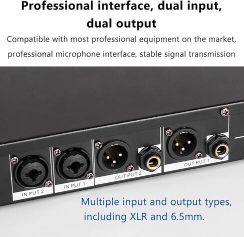 Professional Feedback Suppressor, Microphone Anti-Howling Feedback Frequency Shifter, Anti-Howling Audio Processor, 2-in 2-Out, for Live Performances, Stage, Conference in Kuwait