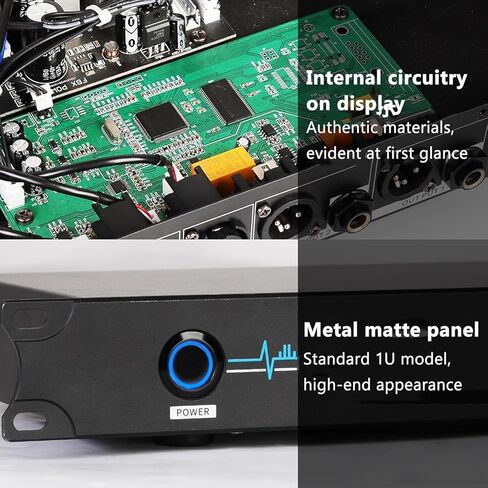 Professional Feedback Suppressor, Microphone Anti-Howling Feedback Frequency Shifter, Anti-Howling Audio Processor, 2-in 2-Out, for Live Performances, Stage, Conference in Kuwait