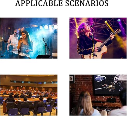 Professional Feedback Suppressor, Microphone Anti-Howling Feedback Frequency Shifter, Anti-Howling Audio Processor, 2-in 2-Out, for Live Performances, Stage, Conference in Kuwait