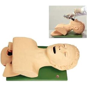 قزم التنبيب الأنفي الفموي PVC مع جهاز تنبيه الأسنان محاكي إدارة مجرى الهواء مدرب تعليم رأس التنبيب، عارضة أزياء للتمريض in Kuwait