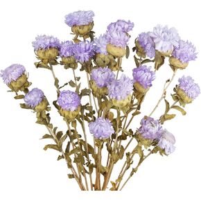 20 pcs طبيعية مجففة الزهور باقة زهرة مجففة زهرة وردي مجفف عباد الشمس المجفف chrysanthemum مع الجذع لزفاف مزرعة الزفاف مزهرية ديكور المنزل DIY ترتيب زهرة in Kuwait
