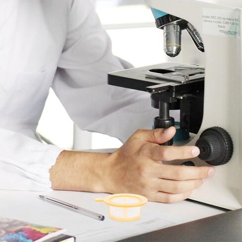 Disposable 70μm Cell Strainer Mesh Filter for Laboratory Use Individually Wrapped Cell Strainer Tool for Experiment and Filtering Single Piece Filter for Research Applications in Saudi Arabia