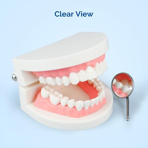 JMU 12 PCS #5 Mouth Mirror Heads, Stainless Steel in Kuwait