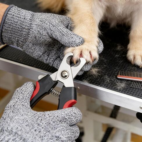 4 PCS Cut Resistant Gloves Level 5 Protection Food Grade, Anti Cutting for Meat Cutting, Wood Carving in Saudi Arabia