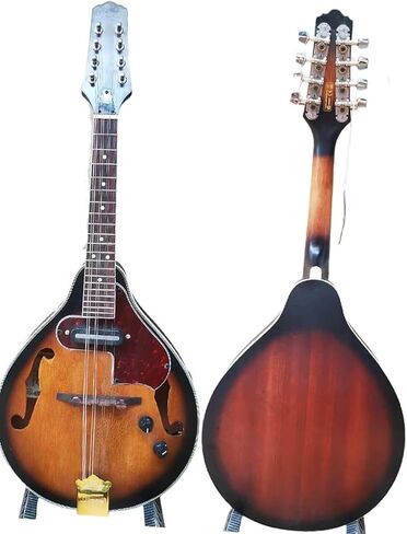 Adults Instrument Electric Tibetan Guitar Made of Good Tone Wood in Saudi Arabia