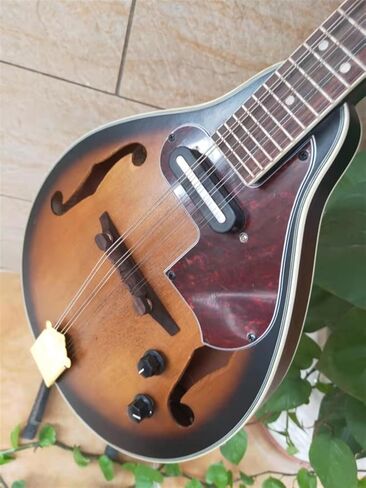 Adults Instrument Electric Tibetan Guitar Made of Good Tone Wood in Saudi Arabia
