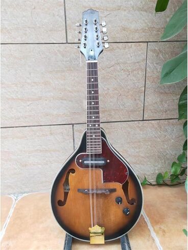 Adults Instrument Electric Tibetan Guitar Made of Good Tone Wood in Saudi Arabia