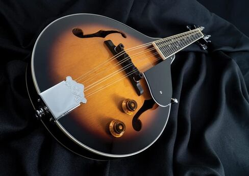 Oscar Schmidt OM10E A-Style Spruce Top Acoustic-Electric Mandolin - Tobacco Sunburst in Saudi Arabia