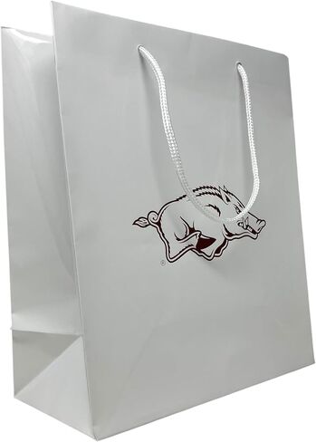 Pro Specialtirs Group Luxe Large Gift Bag,10" X 12" X 5", Team Colors (Michigan Wolverines) in Saudi Arabia