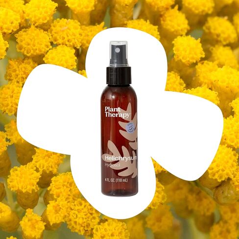 Plant Therapy Helichrysum Hydrosol 4 oz (Flower Water) By-Product of Essential Oils in Saudi Arabia