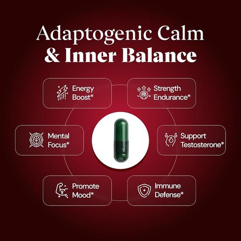 شيلاجيت الهيمالايا 5 في 1 للرجال والنساء – 1250 ملجم | اشواغاندا، تونغكات علي، جذور الماكا والتركستيرون – 80% حمض الفولفيك – الطاقة والتستوستيرون والحيوية، (60 كبسولة نباتية) in Kuwait