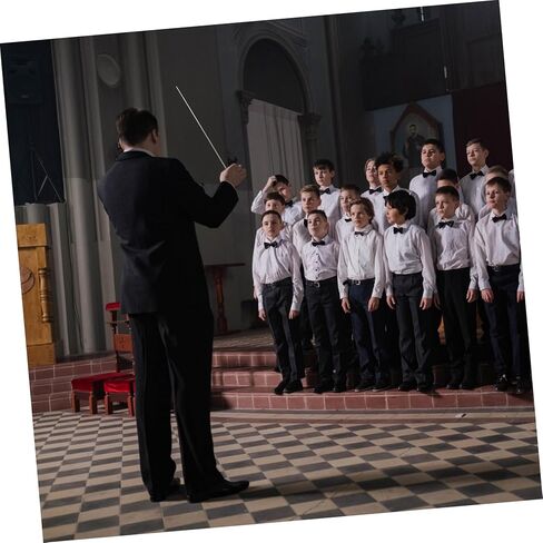 BESPORTBLE Professional Conducting Baton Wooden Handle Music Concert Rhythm Wand for Orchestra and Choir Conductors Sturdy and Lightweight Design in Saudi Arabia