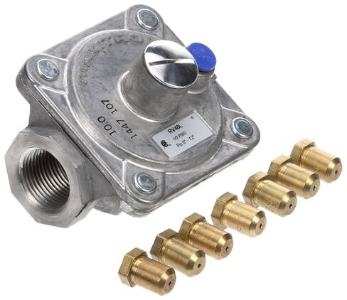 9604, Rr-6 NAT to Lpg Conversion Kit in Saudi Arabia