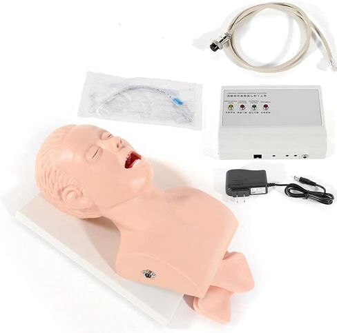 Unterrichtsmodell، Intubationsmodell Erwachsener Atemweg Manikin Studie Unterrichtsmodell، دراسة تدريب على التنبيب الأنفي الفموي، نموذج مدرب إدارة مجرى الهواء 110-220 فولت in Kuwait