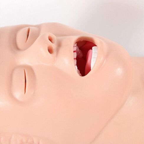 Unterrichtsmodell، Intubationsmodell Erwachsener Atemweg Manikin Studie Unterrichtsmodell، دراسة تدريب على التنبيب الأنفي الفموي، نموذج مدرب إدارة مجرى الهواء 110-220 فولت in Kuwait
