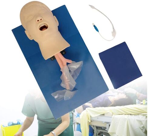 نموذج تدريب على إدارة مجرى الهواء، نموذج تعليمي للتدريب على مجرى الهواء من مادة PVC مع أنابيب للتدريب على التنبيب، قزم التنبيب الأنفي الفموي in Kuwait