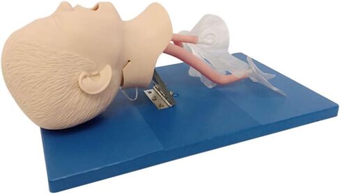 نموذج تدريب على إدارة مجرى الهواء، نموذج تعليمي للتدريب على مجرى الهواء من مادة PVC مع أنابيب للتدريب على التنبيب، قزم التنبيب الأنفي الفموي in Kuwait