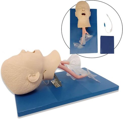 نموذج تدريب على إدارة مجرى الهواء، نموذج تعليمي للتدريب على مجرى الهواء من مادة PVC مع أنابيب للتدريب على التنبيب، قزم التنبيب الأنفي الفموي in Kuwait