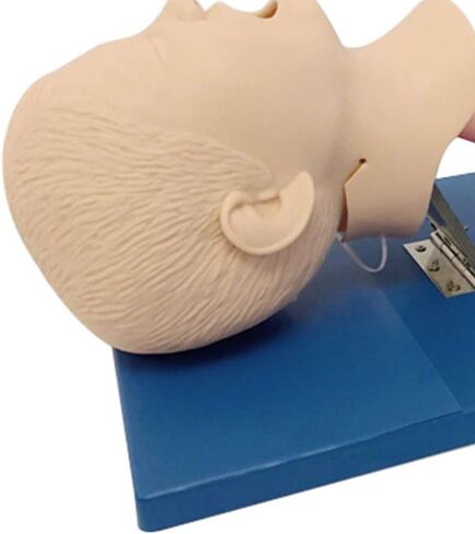 نموذج تدريب على إدارة مجرى الهواء، نموذج تعليمي للتدريب على مجرى الهواء من مادة PVC مع أنابيب للتدريب على التنبيب، قزم التنبيب الأنفي الفموي in Kuwait